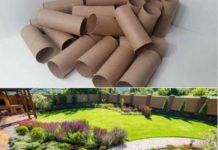 Ne bacajte rolnu toalet papira: Jedna žena je napravila čudo – i svi će ovog proleća posmatrati njeno dvorište Ne bacajte rolnu toalet papira: Jedna žena je napravila čudo – i svi će ovog proleća posmatrati njeno dvorište - featured image