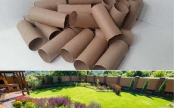 Ne bacajte rolnu toalet papira: Jedna žena je napravila čudo – i svi će ovog proleća posmatrati njeno dvorište Ne bacajte rolnu toalet papira: Jedna žena je napravila čudo – i svi će ovog proleća posmatrati njeno dvorište - featured image