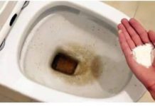 Zaboravite OCAT: Ovaj puder iz kuhinje čisti toalet za par minuta – bez kamenca, žutih mrlja i mirisa! Zaboravite OCAT: Ovaj puder iz kuhinje čisti toalet za par minuta – bez kamenca, žutih mrlja i mirisa! - featured image