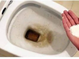 Zaboravite OCAT: Ovaj puder iz kuhinje čisti toalet za par minuta – bez kamenca, žutih mrlja i mirisa! Zaboravite OCAT: Ovaj puder iz kuhinje čisti toalet za par minuta – bez kamenca, žutih mrlja i mirisa! - featured image