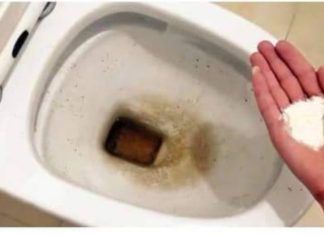 Zaboravite OCAT: Ovaj puder iz kuhinje čisti toalet za par minuta – bez kamenca, žutih mrlja i mirisa! Zaboravite OCAT: Ovaj puder iz kuhinje čisti toalet za par minuta – bez kamenca, žutih mrlja i mirisa! - featured image