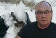 Zmije ispuzale usred zime! Vjeruje se da OVO nije dobar znak, a poznati zmijolovac upozorava – Dobro obratite pažnju na ovo! Zmije ispuzale usred zime! Vjeruje se da OVO nije dobar znak, a poznati zmijolovac upozorava – Dobro obratite pažnju na ovo! - featured image