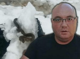 Zmije ispuzale usred zime! Vjeruje se da OVO nije dobar znak, a poznati zmijolovac upozorava – Dobro obratite pažnju na ovo! Zmije ispuzale usred zime! Vjeruje se da OVO nije dobar znak, a poznati zmijolovac upozorava – Dobro obratite pažnju na ovo! - featured image