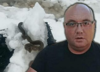 Zmije ispuzale usred zime! Vjeruje se da OVO nije dobar znak, a poznati zmijolovac upozorava – Dobro obratite pažnju na ovo! Zmije ispuzale usred zime! Vjeruje se da OVO nije dobar znak, a poznati zmijolovac upozorava – Dobro obratite pažnju na ovo! - featured image