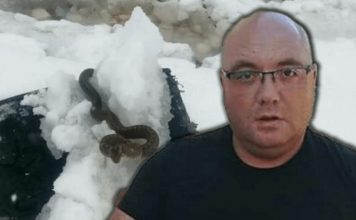 Zmije ispuzale usred zime! Vjeruje se da OVO nije dobar znak, a poznati zmijolovac upozorava – Dobro obratite pažnju na ovo! Zmije ispuzale usred zime! Vjeruje se da OVO nije dobar znak, a poznati zmijolovac upozorava – Dobro obratite pažnju na ovo! - featured image