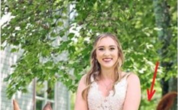 OVA SLIKA JE NAJVEĆI HIT, LJUDI PLAČU OD SMIJEHA: Kad vidite donji dio slike NEĆE VAM BITI DOBRO OVA SLIKA JE NAJVEĆI HIT, LJUDI PLAČU OD SMIJEHA: Kad vidite donji dio slike NEĆE VAM BITI DOBRO - featured image