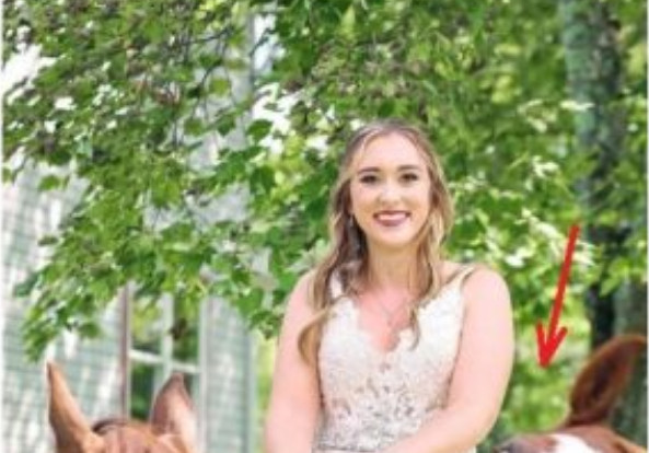 OVA SLIKA JE NAJVEĆI HIT, LJUDI PLAČU OD SMIJEHA: Kad vidite donji dio slike NEĆE VAM BITI DOBRO - featured image OVA SLIKA JE NAJVEĆI HIT, LJUDI PLAČU OD SMIJEHA: Kad vidite donji dio slike NEĆE VAM BITI DOBRO - featured image