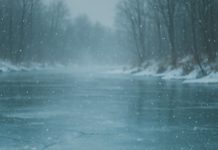 Dječak je propao kroz led, ali u blizini je bio pas lutalica i izvukao ga je za jaknu Dječak je propao kroz led, ali u blizini je bio pas lutalica i izvukao ga je za jaknu - featured image