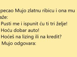 VIC DANA: Zlatna ribica VIC DANA: Zlatna ribica - featured image