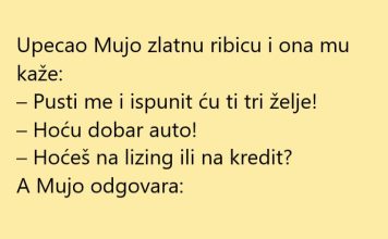 VIC DANA: Zlatna ribica VIC DANA: Zlatna ribica - featured image