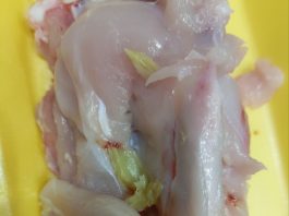 Beograđanka kupila pileće belo meso u supermarketu, a kad je došla kući i rasekla ga samo što NIJE ISPOVRAĆALA CREVA: “Ljudi, ovo nije buđ, ovo su neke IZRASLINE” Beograđanka kupila pileće belo meso u supermarketu, a kad je došla kući i rasekla ga samo što NIJE ISPOVRAĆALA CREVA: “Ljudi, ovo nije buđ, ovo su neke IZRASLINE” - featured image