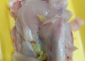 Beograđanka kupila pileće belo meso u supermarketu, a kad je došla kući i rasekla ga samo što NIJE ISPOVRAĆALA CREVA: “Ljudi, ovo nije buđ, ovo su neke IZRASLINE” Beograđanka kupila pileće belo meso u supermarketu, a kad je došla kući i rasekla ga samo što NIJE ISPOVRAĆALA CREVA: “Ljudi, ovo nije buđ, ovo su neke IZRASLINE” - featured image