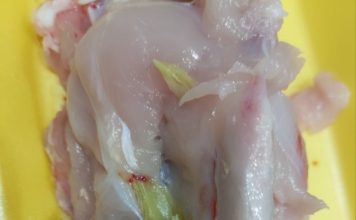 Beograđanka kupila pileće belo meso u supermarketu, a kad je došla kući i rasekla ga samo što NIJE ISPOVRAĆALA CREVA: “Ljudi, ovo nije buđ, ovo su neke IZRASLINE” Beograđanka kupila pileće belo meso u supermarketu, a kad je došla kući i rasekla ga samo što NIJE ISPOVRAĆALA CREVA: “Ljudi, ovo nije buđ, ovo su neke IZRASLINE” - featured image