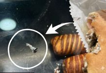 Šok u poznatoj pekari: Posle 2-3 zalogaja osetila sam nešto oštro!!! Šok u poznatoj pekari: Posle 2-3 zalogaja osetila sam nešto oštro!!! - featured image