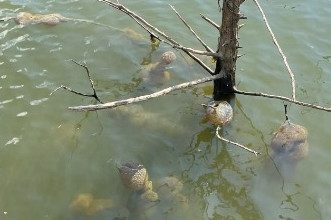 Dodirnuo ga je i pomaknuo se. Nitko se nakon toga nije usudio približiti vodi Dodirnuo ga je i pomaknuo se. Nitko se nakon toga nije usudio približiti vodi - featured image