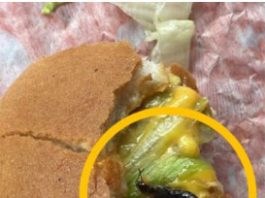 „Trenutak kad ti se stomak okrene:Kako mi je jedan zalogaj uništio dan“ „Trenutak kad ti se stomak okrene:Kako mi je jedan zalogaj uništio dan“ - featured image