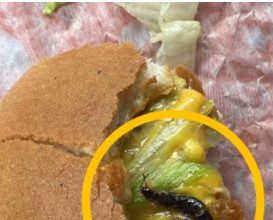 „Trenutak kad ti se stomak okrene:Kako mi je jedan zalogaj uništio dan“ „Trenutak kad ti se stomak okrene:Kako mi je jedan zalogaj uništio dan“ - featured image