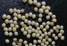 Rutinsko pranje koje je moglo završiti katastrofom da nisam primijetila jednu sitnicu Rutinsko pranje koje je moglo završiti katastrofom da nisam primijetila jednu sitnicu - featured image