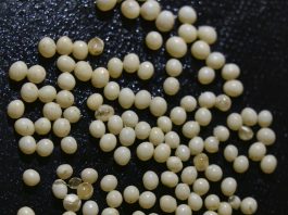 Rutinsko pranje koje je moglo završiti katastrofom da nisam primijetila jednu sitnicu Rutinsko pranje koje je moglo završiti katastrofom da nisam primijetila jednu sitnicu - featured image