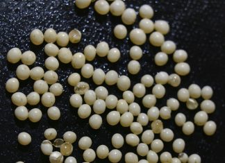 Rutinsko pranje koje je moglo završiti katastrofom da nisam primijetila jednu sitnicu Rutinsko pranje koje je moglo završiti katastrofom da nisam primijetila jednu sitnicu - featured image