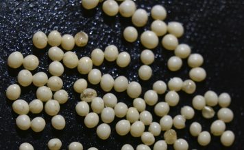 Rutinsko pranje koje je moglo završiti katastrofom da nisam primijetila jednu sitnicu Rutinsko pranje koje je moglo završiti katastrofom da nisam primijetila jednu sitnicu - featured image