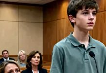 “Porodica se bira srcem, ne krvnim vezama” “Porodica se bira srcem, ne krvnim vezama” - featured image