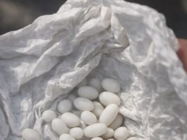 Pronašla sam čudne bijele kuglice u ruksaku svog 15-godišnjeg sina: on kaže da su to samo bomboni, ali mu ne vjerujem 😕 Pronašla sam čudne bijele kuglice u ruksaku svog 15-godišnjeg sina: on kaže da su to samo bomboni, ali mu ne vjerujem 😕 - featured image