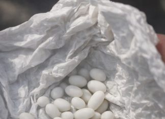 Pronašla sam čudne bijele kuglice u ruksaku svog 15-godišnjeg sina: on kaže da su to samo bomboni, ali mu ne vjerujem 😕 Pronašla sam čudne bijele kuglice u ruksaku svog 15-godišnjeg sina: on kaže da su to samo bomboni, ali mu ne vjerujem 😕 - featured image