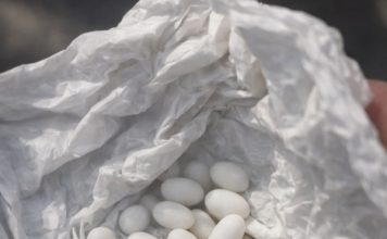 Pronašla sam čudne bijele kuglice u ruksaku svog 15-godišnjeg sina: on kaže da su to samo bomboni, ali mu ne vjerujem 😕 Pronašla sam čudne bijele kuglice u ruksaku svog 15-godišnjeg sina: on kaže da su to samo bomboni, ali mu ne vjerujem 😕 - featured image