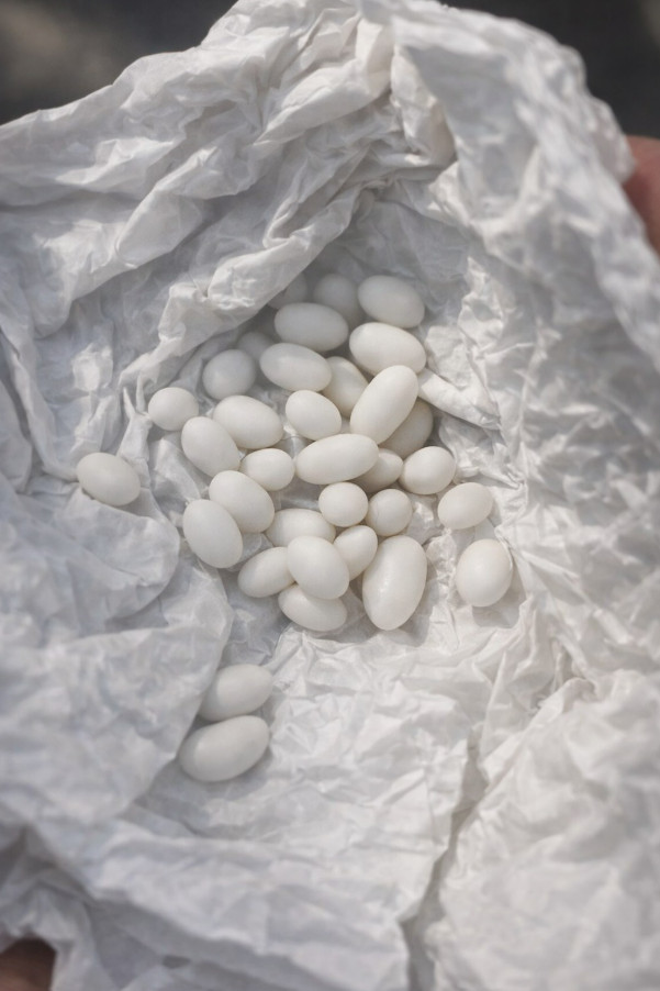 Pronašla sam čudne bijele kuglice u ruksaku svog 15-godišnjeg sina: on kaže da su to samo bomboni, ali mu ne vjerujem 😕 - featured image Pronašla sam čudne bijele kuglice u ruksaku svog 15-godišnjeg sina: on kaže da su to samo bomboni, ali mu ne vjerujem 😕 - featured image