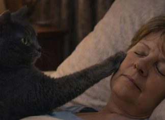 Mačka je svake noći budila svoju vlasnicu i tjerala je iz spavaće sobe: žena je mislila da mačka ima psihičke probleme, sve dok je nije odvela veterinaru. Mačka je svake noći budila svoju vlasnicu i tjerala je iz spavaće sobe: žena je mislila da mačka ima psihičke probleme, sve dok je nije odvela veterinaru. - featured image