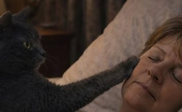 Mačka je svake noći budila svoju vlasnicu i tjerala je iz spavaće sobe: žena je mislila da mačka ima psihičke probleme, sve dok je nije odvela veterinaru. Mačka je svake noći budila svoju vlasnicu i tjerala je iz spavaće sobe: žena je mislila da mačka ima psihičke probleme, sve dok je nije odvela veterinaru. - featured image