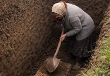 Svi u selu su odlučili da je starica poludela kada je počela kopati ogroman rov usred dvorišta, ali kada su ljudi videli šta je tačno ona iskopala, svi su bili šokirani.😲😲 Svi u selu su odlučili da je starica poludela kada je počela kopati ogroman rov usred dvorišta, ali kada su ljudi videli šta je tačno ona iskopala, svi su bili šokirani.😲😲 - featured image