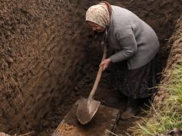 Svi u selu su odlučili da je starica poludela kada je počela kopati ogroman rov usred dvorišta, ali kada su ljudi videli šta je tačno ona iskopala, svi su bili šokirani.😲😲 Svi u selu su odlučili da je starica poludela kada je počela kopati ogroman rov usred dvorišta, ali kada su ljudi videli šta je tačno ona iskopala, svi su bili šokirani.😲😲 - featured image