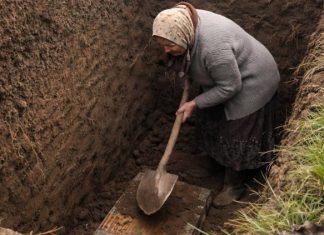 Svi u selu su odlučili da je starica poludela kada je počela kopati ogroman rov usred dvorišta, ali kada su ljudi videli šta je tačno ona iskopala, svi su bili šokirani.😲😲 Svi u selu su odlučili da je starica poludela kada je počela kopati ogroman rov usred dvorišta, ali kada su ljudi videli šta je tačno ona iskopala, svi su bili šokirani.😲😲 - featured image