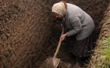Svi u selu su odlučili da je starica poludela kada je počela kopati ogroman rov usred dvorišta, ali kada su ljudi videli šta je tačno ona iskopala, svi su bili šokirani.😲😲 Svi u selu su odlučili da je starica poludela kada je počela kopati ogroman rov usred dvorišta, ali kada su ljudi videli šta je tačno ona iskopala, svi su bili šokirani.😲😲 - featured image