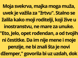 Svekrva je 5 godina tvrdila da moja porodica “nikad ništa ne šalje” djeci, a onda sam iza police u špajzu našla vrata koja vode u sobu punu tuge