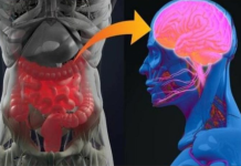 GOTOVO SVI GA PIJU SVAKODNEVNO, Uništava Crijeva, Izaziva Moždane I Srčane Udare!