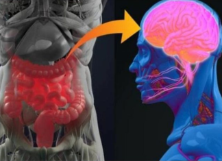 GOTOVO SVI GA PIJU SVAKODNEVNO, Uništava Crijeva, Izaziva Moždane I Srčane Udare!