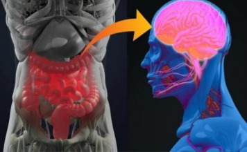 GOTOVO SVI GA PIJU SVAKODNEVNO, Uništava Crijeva, Izaziva Moždane I Srčane Udare!