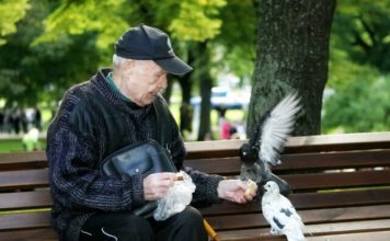 Zaboravite na djecu, prijatelje i porodicu – u starosti ćete biti napušteni, izdani i zaboravljeni, a samo će vam ova 4 stroga pravila pomoći da preživite