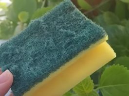 Od otpada do zlata: Nevjerovatna nova namjena starog sunđera! Ovo je trik koji je odusevio svijet” Od otpada do zlata: Nevjerovatna nova namjena starog sunđera! Ovo je trik koji je odusevio svijet” - content image