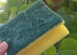 Od otpada do zlata: Nevjerovatna nova namjena starog sunđera! Ovo je trik koji je odusevio svijet” Od otpada do zlata: Nevjerovatna nova namjena starog sunđera! Ovo je trik koji je odusevio svijet” - content image