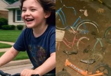 Njen blizanac je otišao da vozi bicikl i nije se vratio kući: Nakon 8 godina taj bicikl pronalaze u komšijskoj garaži i otkrivaju mračnu tajnu lokalnog majstora Njen blizanac je otišao da vozi bicikl i nije se vratio kući: Nakon 8 godina taj bicikl pronalaze u komšijskoj garaži i otkrivaju mračnu tajnu lokalnog majstora - featured image