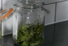 ČAJ OD OVE BILJKE SE PIJE PRED SPAVANJE: Uspavaće vas kao malu bebu i obrisati nervozu u sekundi – morate probati