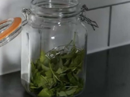 ČAJ OD OVE BILJKE SE PIJE PRED SPAVANJE: Uspavaće vas kao malu bebu i obrisati nervozu u sekundi – morate probati