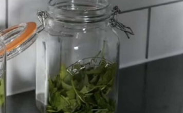 ČAJ OD OVE BILJKE SE PIJE PRED SPAVANJE: Uspavaće vas kao malu bebu i obrisati nervozu u sekundi – morate probati