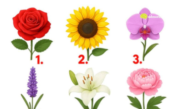 TEST: Koji cvijet vam se najviše dopada? – On otkriva kako vas drugi zapravo vide!