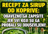 RECEPT ZA LJEKOVITI SIRUP OD KOPRIVE