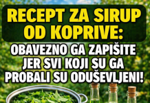 RECEPT ZA LJEKOVITI SIRUP OD KOPRIVE